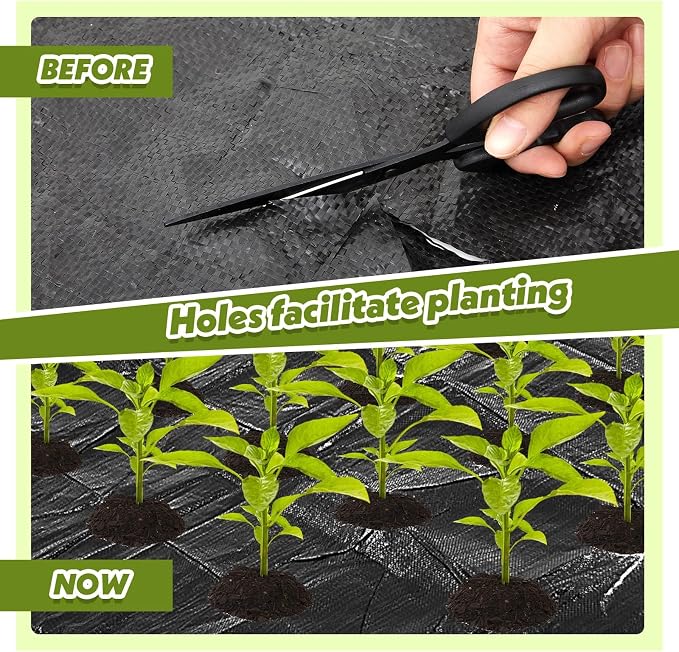 78 x 6.5 ft Garden Weed Barrier Landscape Fabric with Precut Planting Holes, Heavy Duty Weed Barrier Permeability Gardening Ground Cover Mat for Outdoor Greenhouse Planting, Vegetable Beds