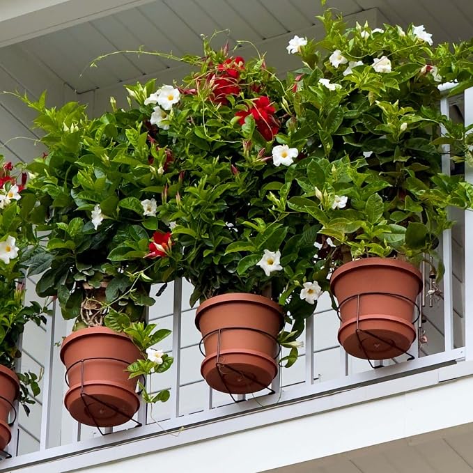 Bloem Railscapes Floating Railing Plant Clip for 1/2" - 3/4” Narrow Spindles