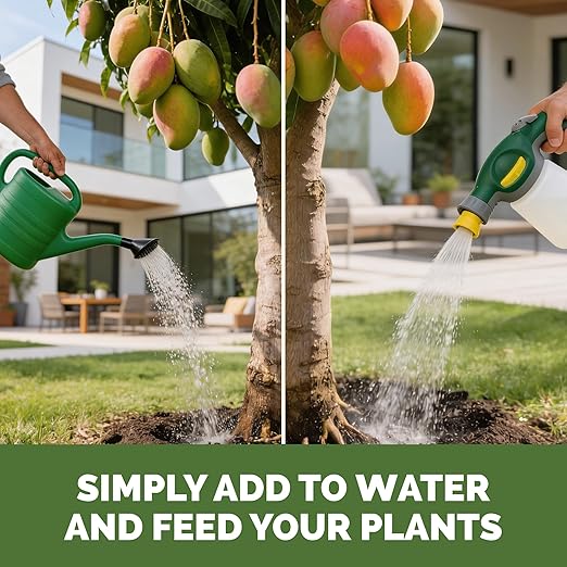 Mango Tree Fertilizer – Liquid Plant Food for More Fruit, Stronger Blossoms & Healthy Tree Growth, 32 oz
