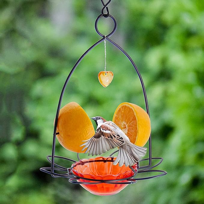 FORUP Oriole Bird Feeder, Orange Fruit Oriole Feeder