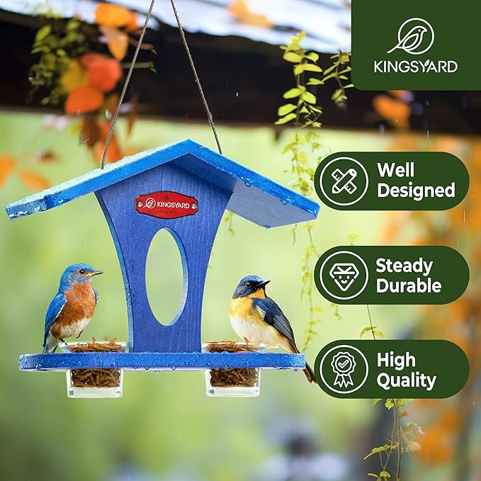 Kingsyard Bird Feeder for Outdoor Hanging, Recyceled Plastic Bluebird Feeders for mealworm, Two Dishes w/ 5 oz, Durable & Weatherproof, for Bird Lovers, Blue