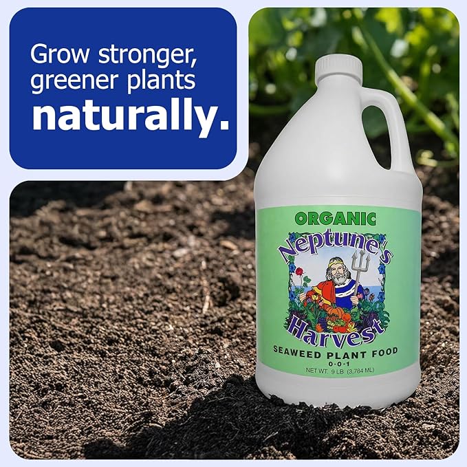 Neptune’s Harvest Seaweed Plant Food (0-0-1) - Multi-Purpose Seaweed Organic Liquid Fertilizer - Indoor & Outdoor Plant Fertilizer for Lawns, Gardens, Vegetables, & Flowers (Gallon)