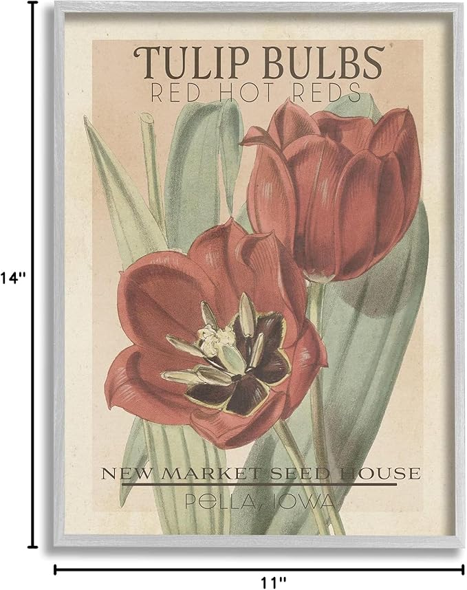 Stupell Industries Hot Red Tulip Bulbs Antique Floral Seed Packet