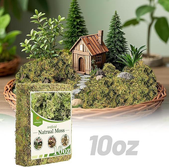 Alphatool 10oz Natural Green Moss for Crafts Beginners - Starter Moss for Plants Indoor, Artificial Fairy Gardens, Mini Mosswall, Glass Terrariums, Filling Fake Plants, Home Decoration