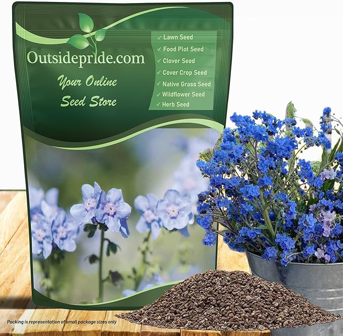 Outsidepride Cynoglossum Blue Chinese Forget Me Not Seeds - 1/4 Lb. Self-Sowing Annual Flower Seeds for Planting Dense Blue Blooms & Upright Growth Habit for Borders, Pollinator & Cottage Gardens