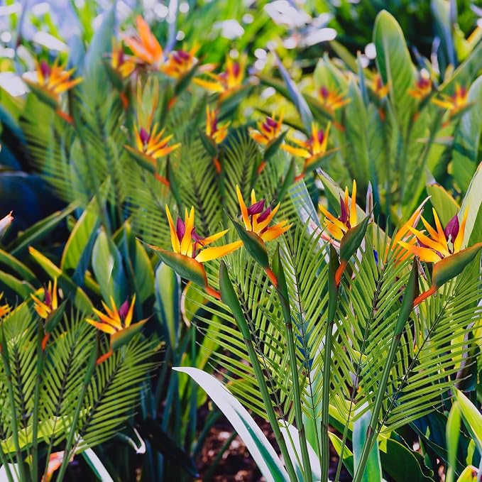 8 PCS Bird of Paradise Artificial Plant Combo Palm Leaves,4 Faux Bird of Paradise Plant with 4 Artificial Palm Leaves for Wedding Garden Office Home Indoor and Outdoor Decor(Yellow)