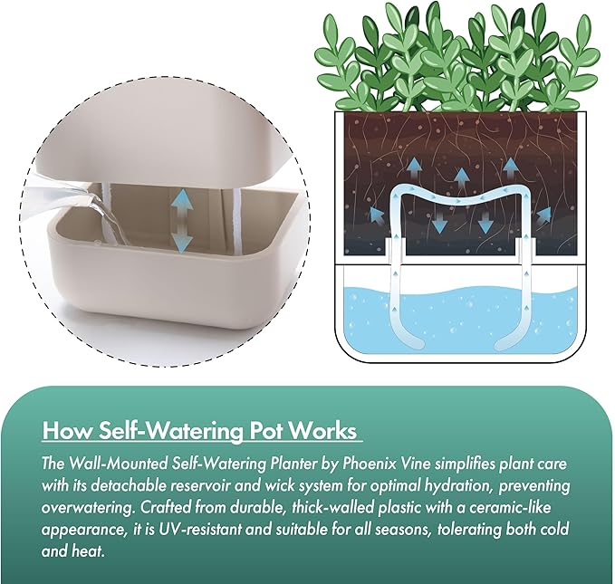 Phoenix Vine 6.5 Inch Wall Mounted Self-Watering Planter Pot for Indoor Houseplants and Herbs | Hanging Planter for Window Sills, Bathroom Walls, Home & Office Décor, Oatmeal, Set of 1, 01-C-G-1