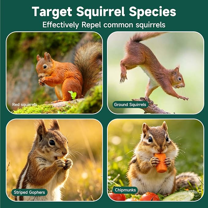 24 Pack Squirrel Rodent Repellent, Peppermint Lemon Oil Mice Repellent for Mouse Rats Spider Pests, Natural Deterrent for Kitchen, Warehouse, Car, Indoor, Outdoor, Safe for Pets Family
