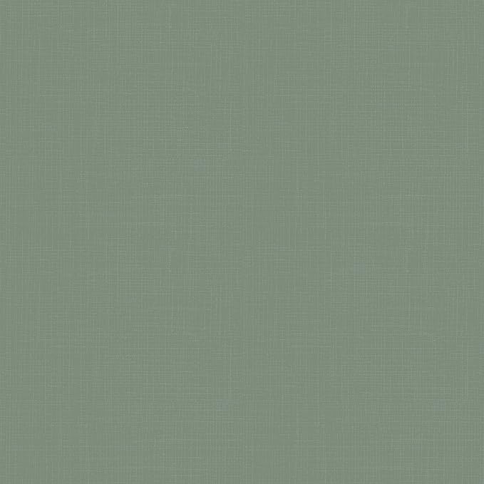 Arden earthFIBER Outdoor Dining Chair Cushion, 20 x 20, Rain-Proof, Fade Resistant, Sage Green Texture