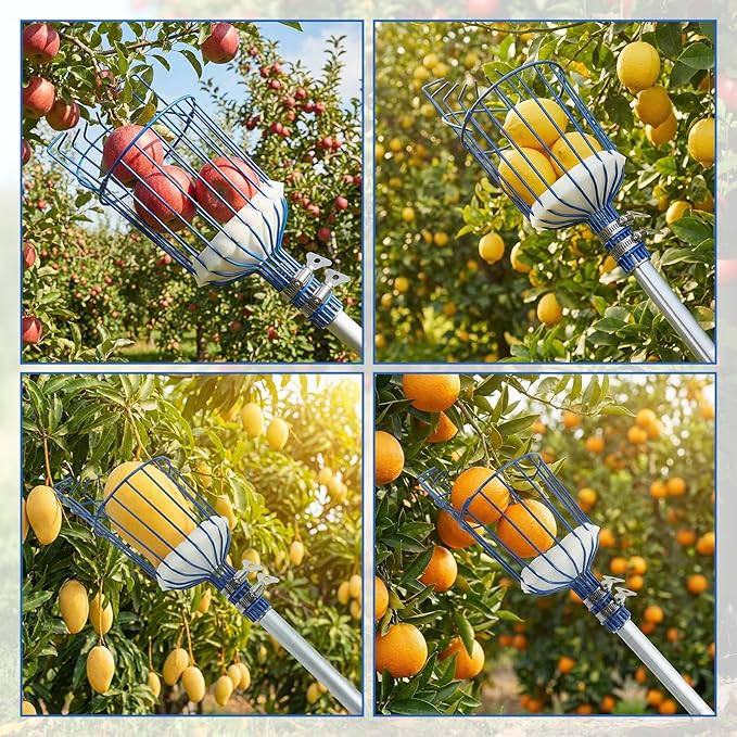 MAVRIZ 5-12ft Fruit Picker Pole with Basket, 20FT Reach Telescoping Apple Picker Extension Pole, Fruit Grabber for Harvesting Mango, Orange, Lemon, Avocado, Pear - Sturdy Aluminum Fruit Tree Picker