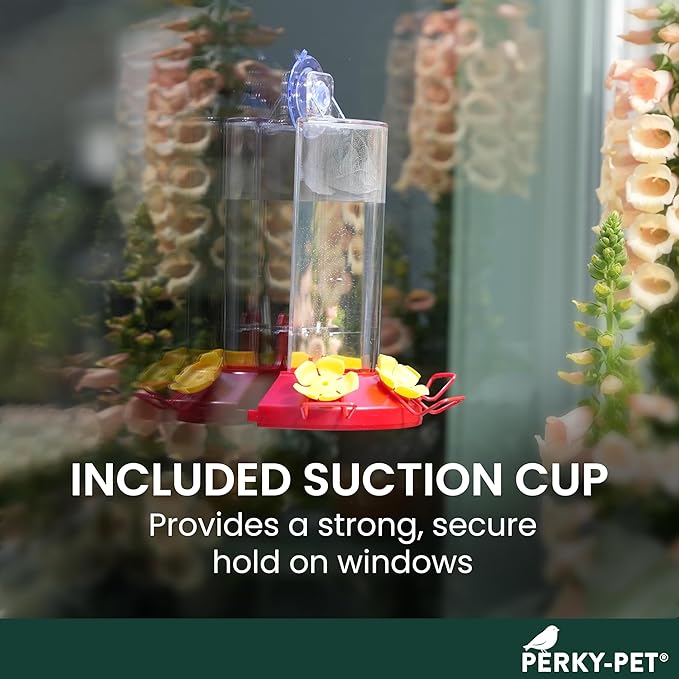 Perky-Pet Plastic Window Mount Hummingbird Feeder with Perches - 8 oz Hummingbird Nectar Capacity,217 -Hummingbird feeders for Outdoors,(Pack of 6)