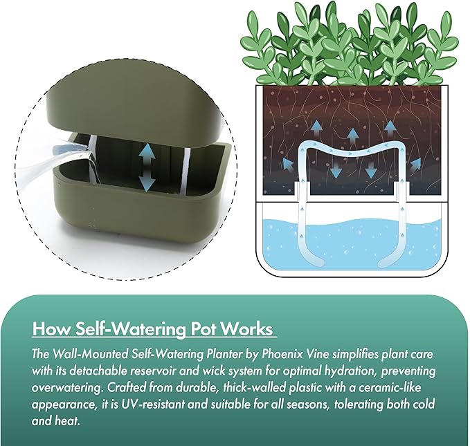 Phoenix Vine 6.5 Inch Wall Mounted Self-Watering Planter Pot for Indoor Houseplants and Herbs | Hanging Planter for Window Sills, Bathroom Walls, Home & Office Décor, Olive, Set of 3, 01-C-F-3