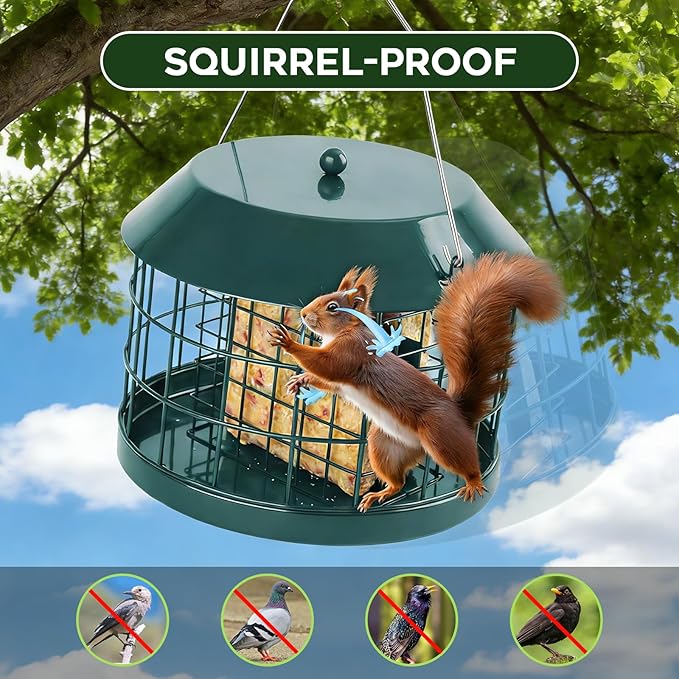 Gbekery Caged Suet Bird Feeder for Outdoors Hanging, Squirrel Proof Double Suet Feeder for Small Birds, Metal Cage with Detachable Hook, Large Space, Outdoors Weatherproof, Green