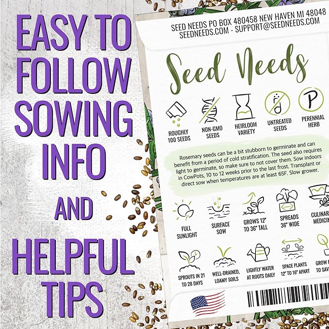Seed Needs Rosemary & Thyme Seeds for Planting Fresh Kitchen Herbs - Non-GMO Heirloom & Untreated Perennial Herb Seed to Plant a Culinary Garden Indoors or Outdoors (2 Pack Duo)