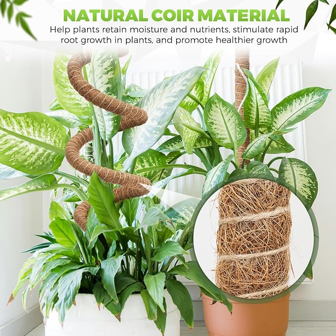 2 Pack Moss Pole Monstera Plant Support 63 Inch Bendable Monstera Support for Climbing Plants Extra Large Handmade Moss Poles Aluminum Plant Support Stakes Indoor Grow Upwards