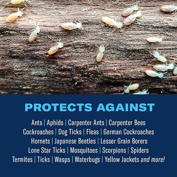 BioAdvanced Carpenter Ant & Termite Killer Plus, Ready-to-Use, 1 Gal, Listed Insect Killer, Bug Spray for Home