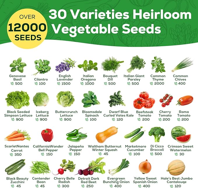 30 Heirloom Vegetable Seeds for Planting, 12,000+ Garden Seeds - Non-GMO Vegetable, Herb, Fruit Seeds - Survival Seed Vault with Tomato, Basil, Lettuce, Bean, Pepper, Squash and More