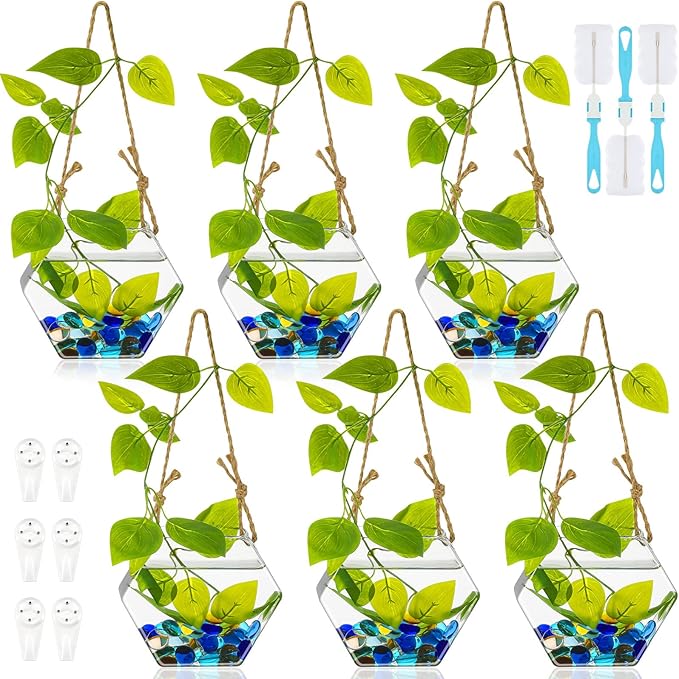 6 Pcs Wall Hanging Planter Glass Plant Pot Water Terrarium Containers Wall Vases for Flowers Air Hydroponic Propagation Glass Plant Holder Home Room Window Office(Hexagon)