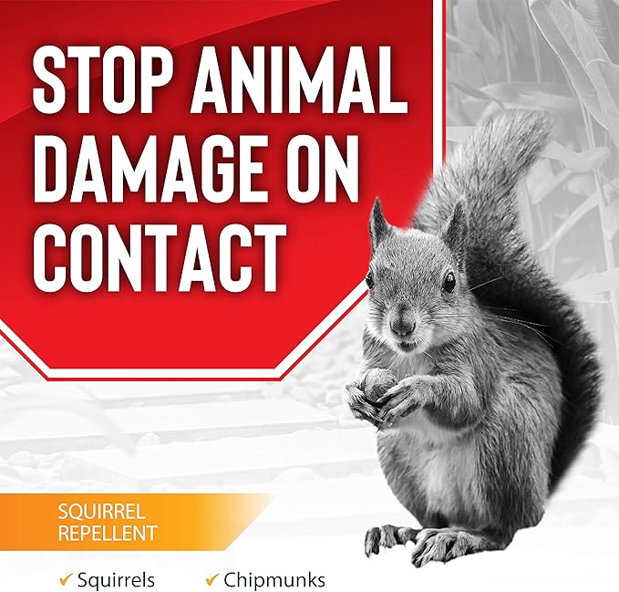 Squirrel Stopper Repellent Spray - Chipmunk & Squirrel Deterrent for Bird Feeders, Garden & Homes - Weather-Resistant Formula - Scent, Taste & Touch Barrier - Safe Around Kids & Pets - 32oz