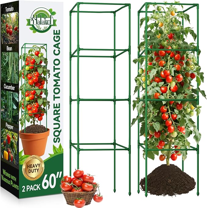Halatool 2 Pack 60 Inches Square Tomato Cages for Garden, Heavy Duty Adjustable Metal Tomato Trellis for Climbing Plants – Green Plant Support Stakes for Vegetables Flowers Fruits & Raised Bed Outdoor