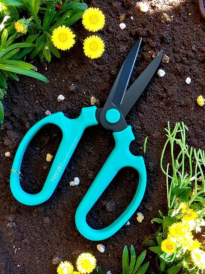 Garden Pruning Shears Scissors Carbon Steel Blades 7.6 Inch, Echinops - Teal