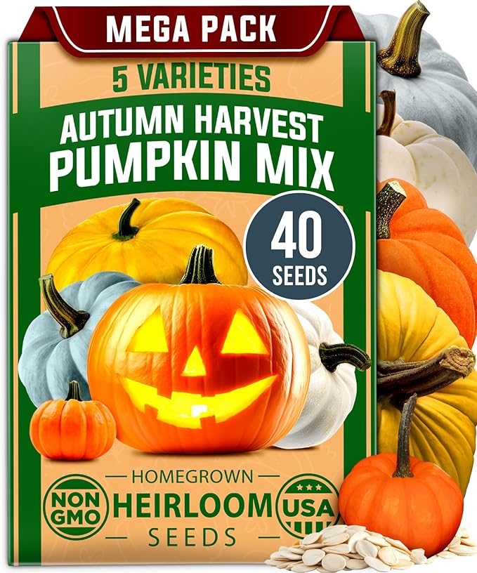 HOME GROWN Pumpkin Seeds for Planting - 5 Variety Mix - 40 Seeds - Heirloom Non GMO USA - Vegetable Garden - Edible & Jack O Lanterns - Connecticut Field Blue White Mini - Autumn Harvest