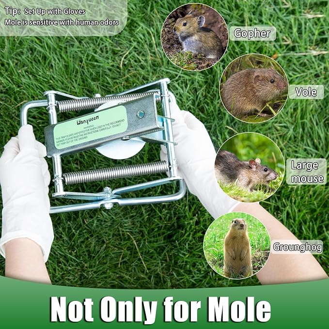 2 Pack Mole Traps that Kill Best, Vole Traps Outdoor Use Scissor for Lawns, Mole Trap Easy to Set Galvanized Steel Reusable Quick Capture Gopher