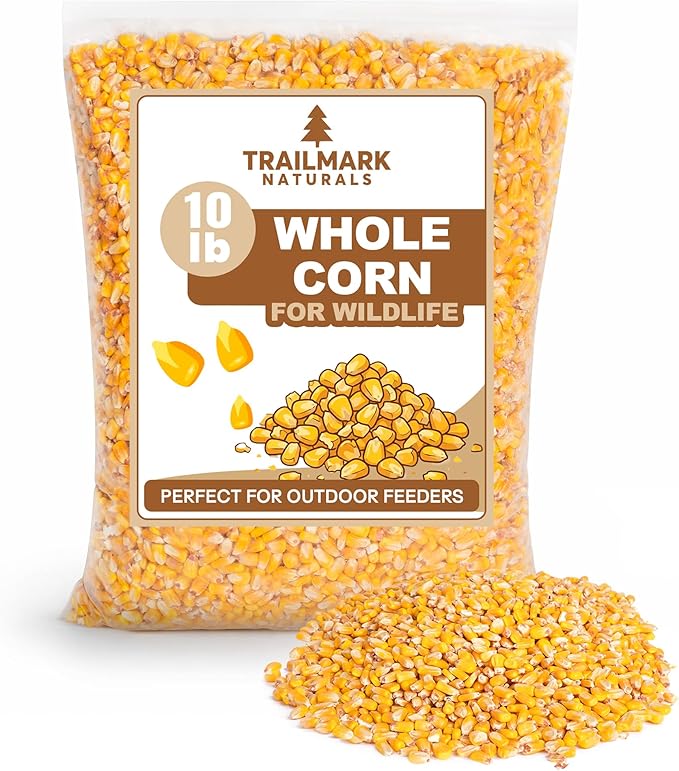 Whole Corn 10 LB– Premium Bird Seed & Wildlife Feed for Ducks, Deer, Squirrels, Chickens, and Turkeys – Whole Corn for Wild Birds – Grown in USA