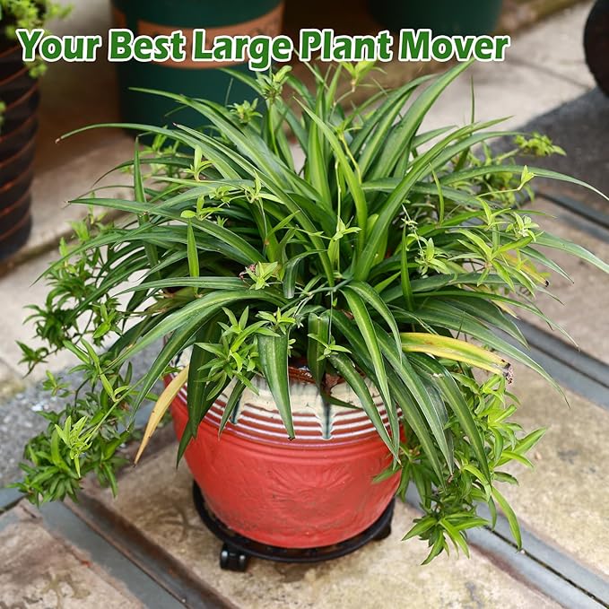 2 Packs 11 Inch Rolling Plant Stand with Wheels Wrought Iron Rolling Plant Stand with Casters Heavy Duty for Indoor Plants Rollers Potted Plant Mover, Metal Round Plant Dolly