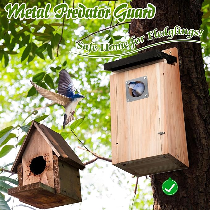 Dreyoo 8 Pack Bluebird Box Houses for Outside,1-1/2'' Entrance Hole Wooden Bird Houses with Metal Guard, Secure Latch,Fledgling Grooves,Air Vents for Bluebird Wren Swallow (Black Roof,Wood Body)