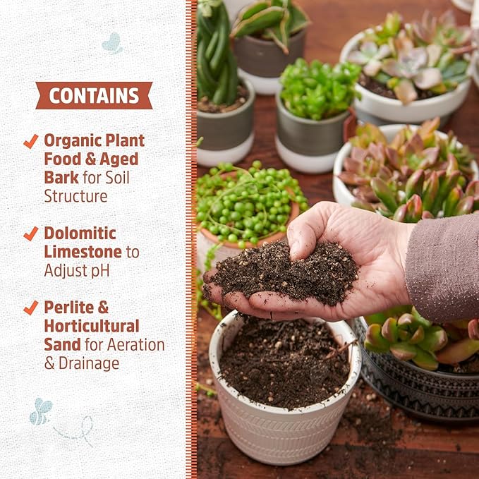 Back to the Roots 100% Organic Succulent & Cacti Mix (Value 25 Quart) | Made in the USA