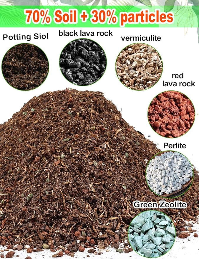 TOYPOPOR Succulent Soil, Cactus Potting Mix 7.5 Pounds/6QTS, High Drainage, Pre-Mixed Ready to Use for All Succulent Varieties, Indoor Plants, Bonsai, Terrarium, Houseplant, 30% Particles 70% Soil