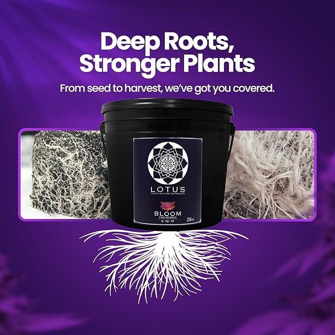 Bloom Pro Series - Hydroponic Plant Nutrients and Fertilizer, Water Soluble Plant Food, for Coco Coir Hydro and Soil, Enhances Flowering and Fruiting, Indoor and Outdoor Grows (256oz)