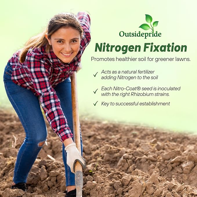 Outsidepride Perennial White Dutch Clover Seed - 40 lbs. Nitrocoated, Inoculated for Lawn Alternative, Erosion Control, Food Plots, Ground Cover, & Pasture Mixtures in USDA Zones 3-10
