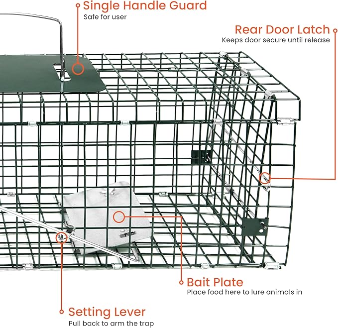 HOMESTEAD 24 Inch Heavy Duty Collapsible Live Animal Trap - Trap for Squirrels, Chipmunks, Rabbits, Kittens, Foldable Steel Trap (24 Inch)