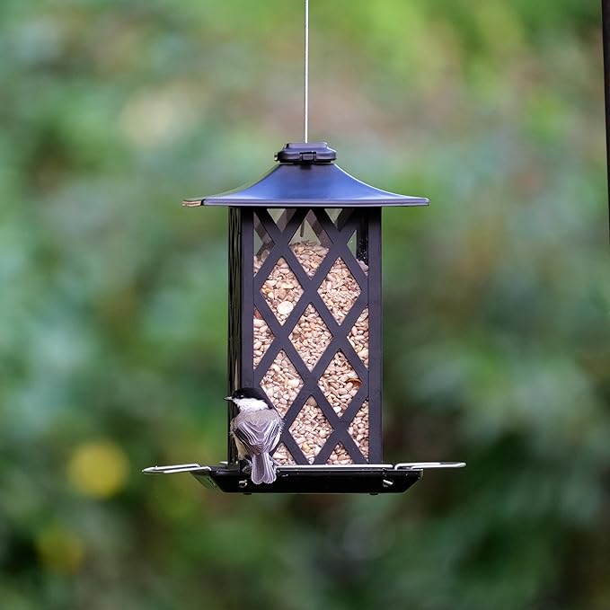 Nature's Way Outdoor Garden Décor Hanging Wild Bird Seed Feeder, Metal Lantern Gazebo Feeder, Easy Fill, Rain Drainage, Black
