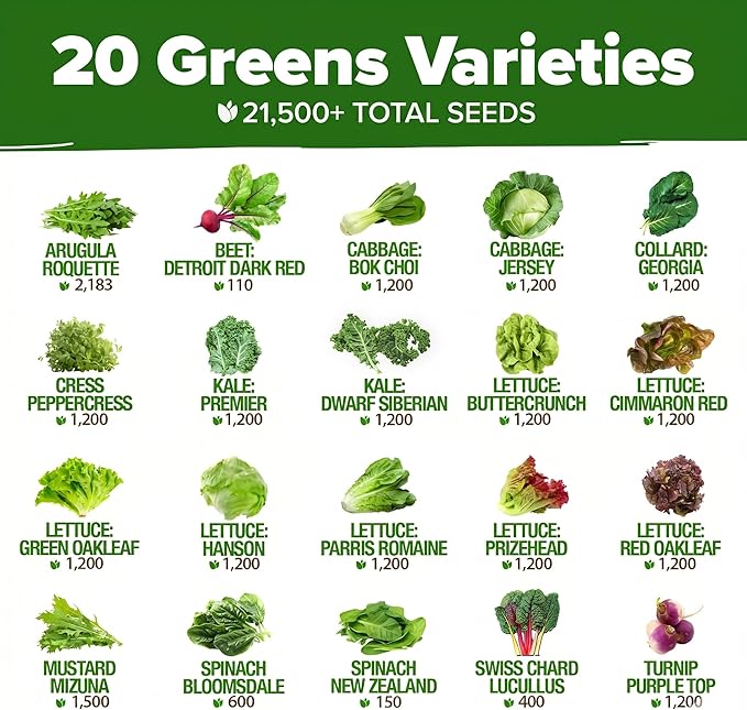 HOME GROWN 20 Variety Lettuce Seeds 21,500+ Bulk Pack Heirloom Non-GMO High Germination, Romaine, Butterhead, Spinach, Kale, Iceberg, Continuous Harvest Indoor Outdoor Hydroponic Garden (20 Varieties)