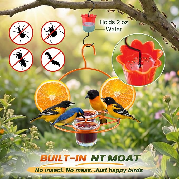 2 Pack Oriole Bird Feeder for Outdoors Jelly and Oranges, Hanging Oriole Feeder with Ant Moat & 2 Glass Cups & Cleaning Brush & Screwdriver, Metal Bird feeders for Outdoors for Jelly Nectar (2 Cups)