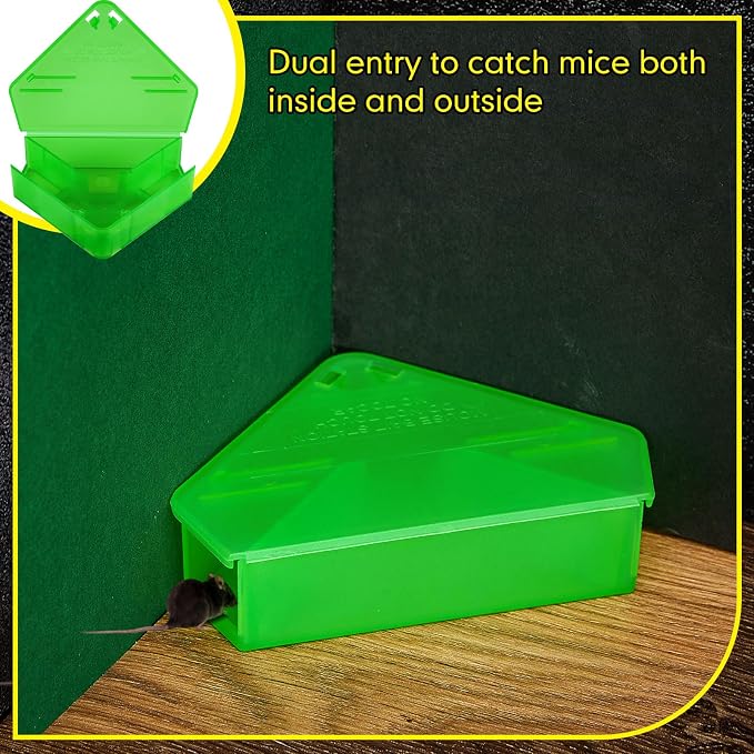 Qualirey 24 Pcs Mice Station with Key Triangle Mouse Station Lockable Reusable Bait Box, Enclosed Design for Indoor and Outdoor Use, Suitable for Small Mice (Translucent Green)