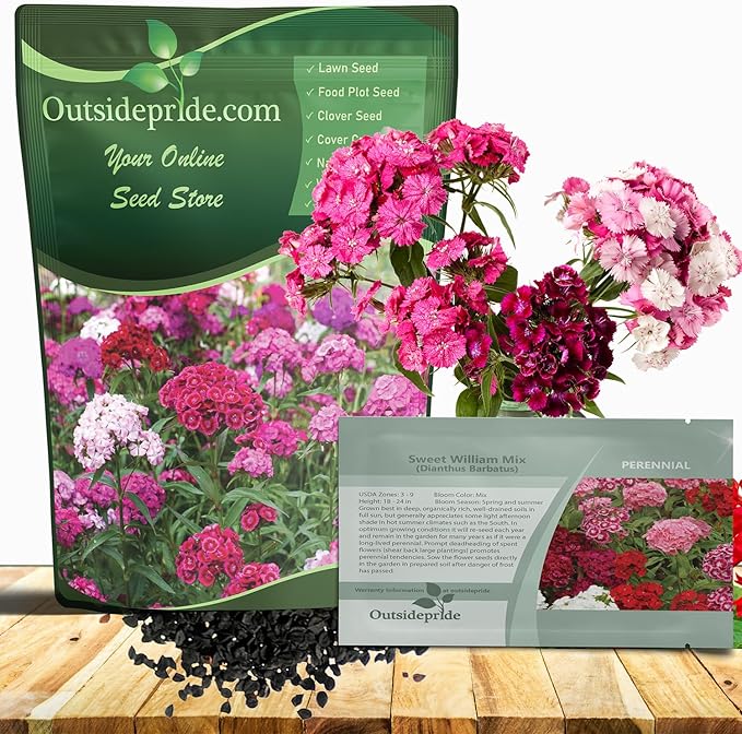 Outsidepride Sweet William Dianthus Seeds - 5 Lbs. Perennial, Winter Hardy Wildflower Seeds w/Fragrant & Vibrant Blooms, Ideal for Pollinator Gardens, Cut Flowers & Colorful Landscaping