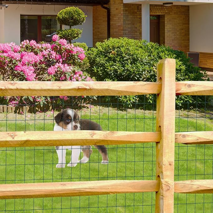 FOREHOGAR Green PVC Coated Welded Wire Fence 48 Inch x 25 Foot, 2 Inch x 3 Inch 16GA, Garden Border Fencing Roll Vinyl Coating Metal Wire Mesh for Yard Vegetable Plant Protection Poultry Netting