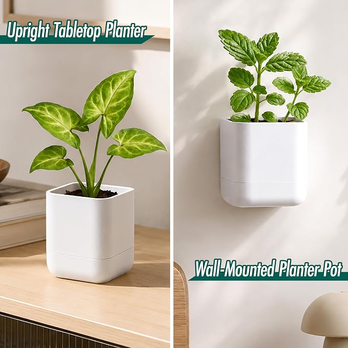 Phoenix Vine 3.5 Inch Wall Mounted Self-Watering Planter Pot for Indoor Houseplants and Herbs | Hanging Planter for Window Sills, Bathroom Walls, Home & Office Décor, White, Set of 4, 01-A-D-4