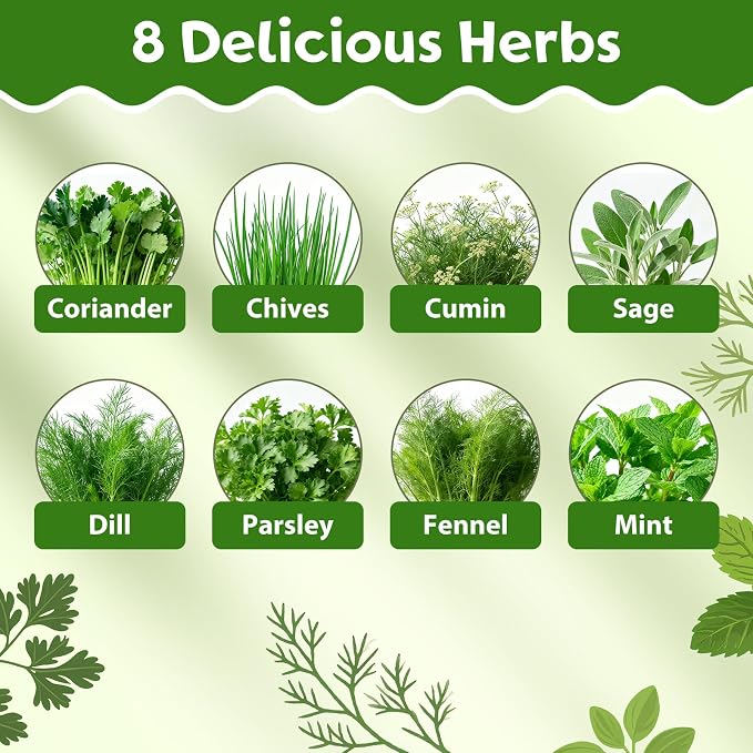 LUOJIBIE Herb Garden Kit Indoor, Herb Growing Kit with Seeds & Tools | Birthday Gifts for Women Men Mom Dad Girls Boys, House Warming Gifts New Home, Anniversary Wedding Gifts, Kitchen Décor