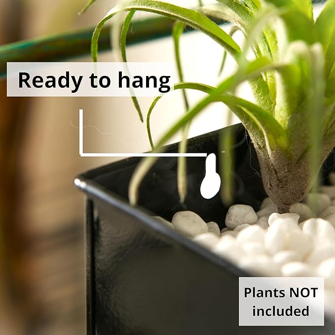 LaLaGreen Wall Planter Indoor Plants - 3 Pack, 14 Inch Large Wall Mount Planters for Succulent Black, Rectangular Metal Hanging Flower Pot, Long Window Sill Plant Box Fence Railings Floating Shelve