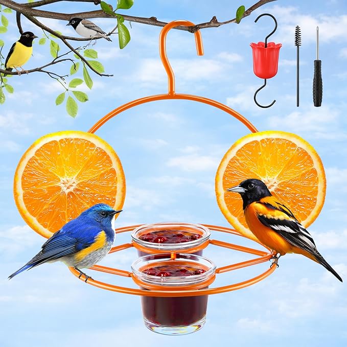 1 Pack Oriole Bird Feeder for Outdoors Jelly and Oranges, Hanging Oriole Feeder with Ant Moat & 2 Glass Cups & Cleaning Brush & Screwdriver, Metal Bird feeders for Outdoors for Jelly Nectar (2 Cups)