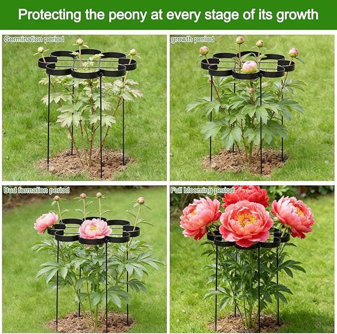 25" Peony Cages and Supports - Elegant Black Modern Flower Support Stakes for Peonies & Dahlias - Designed for Stability & Growth - Perfect for Gardens & Patios