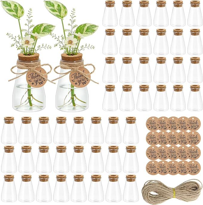 48 Pack Plant Propagation Stations, 3.35'' Plastic Propagation Jars Clear Hydroponic Small Vase Hanging Planter Tube with Cork Lid Tags Hemp Rope for Plant Lovers Women Office Home Decor Garden Gifts