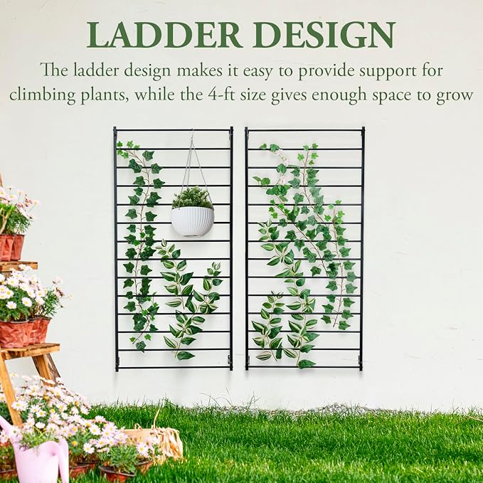MyGift 4 Foot Tall Modern Matte Black Metal Wall Mounted Horizontal Bars Trellis, Outdoor Hanging Support Frame for Climbing Garden Plants and Crawling Vines, Set of 2