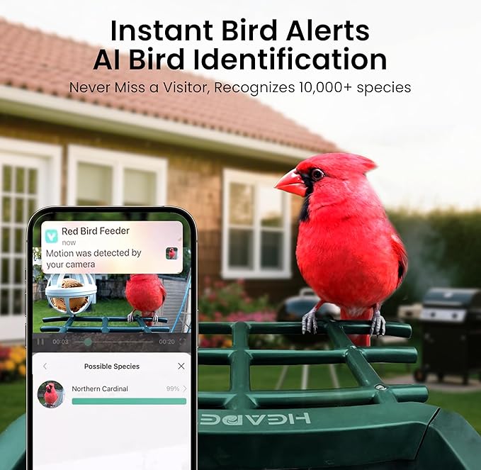 Smart Bird Feeder with Camera Solar Powered 2K HD Video, 10,000+ Species AI Recognition, Real-Time App Alerts, and Weatherproof Design for Effortless Birdwatching, Gift for Bird Lovers, Green Brown