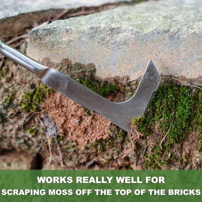 Haliaeetus Long Handle Crack Weeder Tool, 62'' L-Shape Stainless Steel Crevice Weeding Tool, Comfortable Wood Handle Paver Weeder, Sidewalk Weed Removal Tool for Driveway, Bricked Patio,Terrace Paving